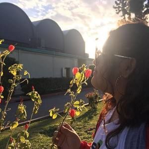 Meet your Posher, Daisy